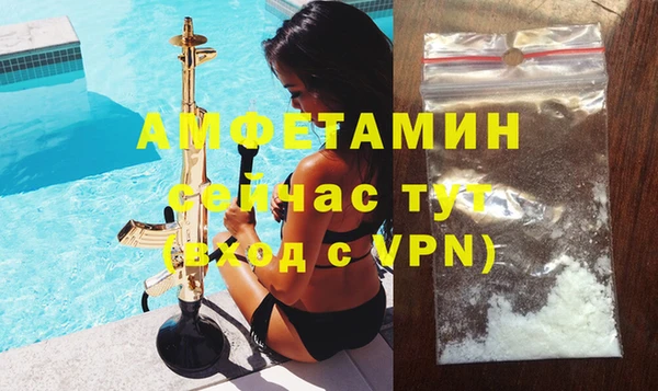 ГАЛЛЮЦИНОГЕННЫЕ ГРИБЫ Верея