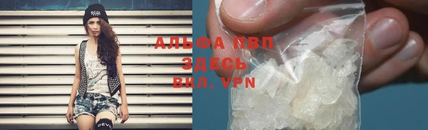 ГАЛЛЮЦИНОГЕННЫЕ ГРИБЫ Верея