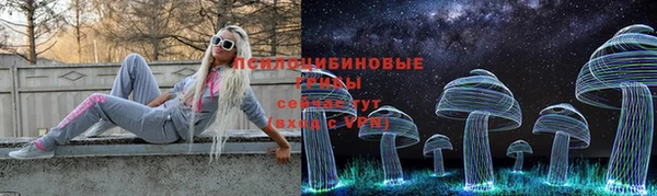 СК Верхний Тагил