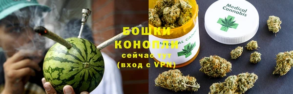ГАЛЛЮЦИНОГЕННЫЕ ГРИБЫ Верея